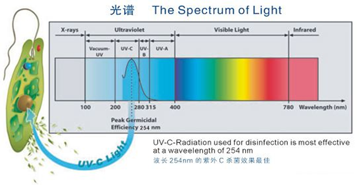 科普！紫外線殺菌燈對人體影響及正確使用方法